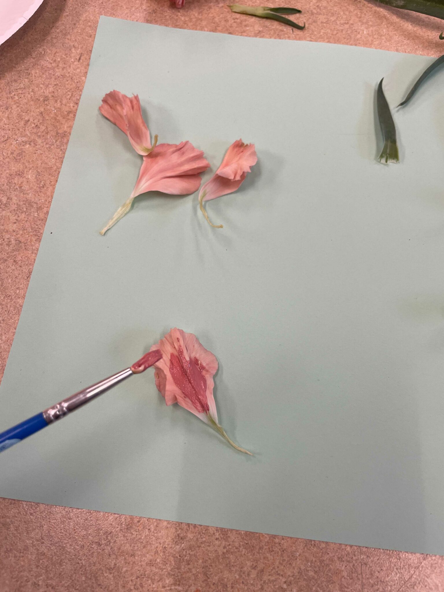 Detail of a thin blue paint brush applying a rose pink colored paint to a lighter pink carnation petal. The petal being painted is on top of a green piece of paper.
