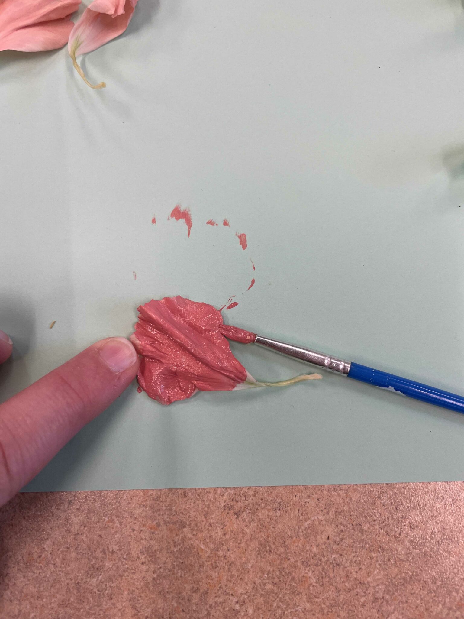 Detail of a thin blue paint brush applying a rose pink colored paint to a lighter pink carnation petal. The petal being painted is on top of a green piece of paper.