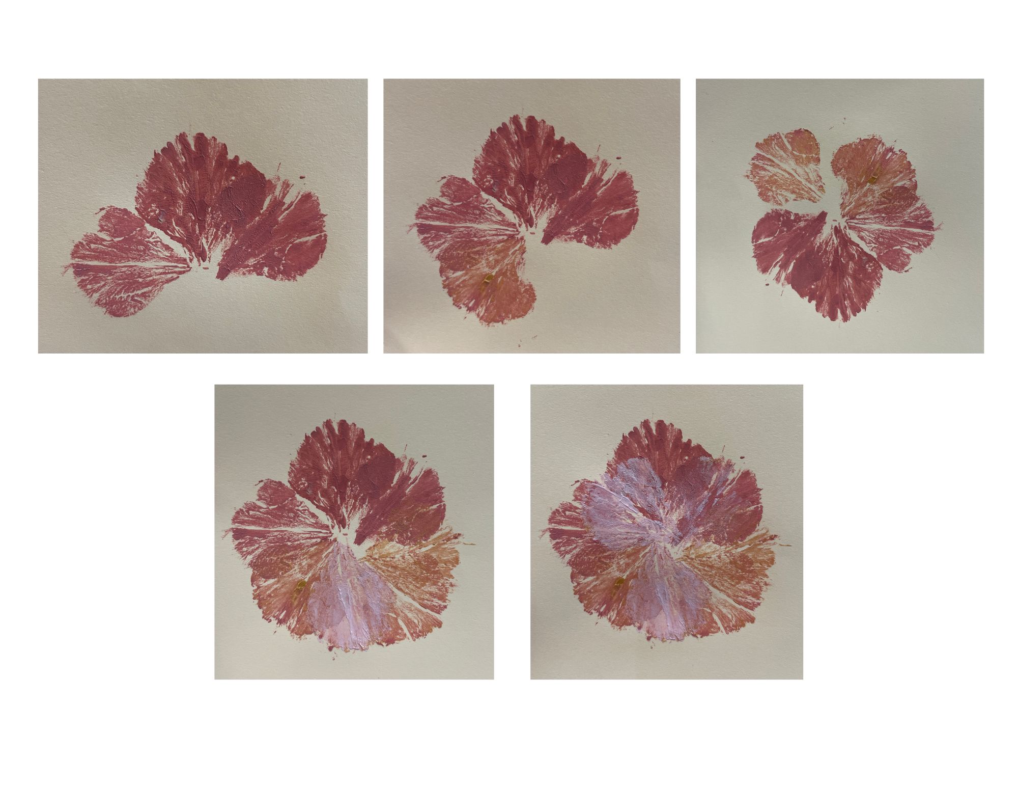 A series of five photos showing the development of a carnation flower head art print by using a single carnation petal. The carnation petal has been painted with various shades (rose pink, gold and light pink) and pressed to the paper eight times in a circular overlapping pattern. Clockwise from top left: three printed petals; four printed petals; five printed petals; six printed petals; eight printed petals. 